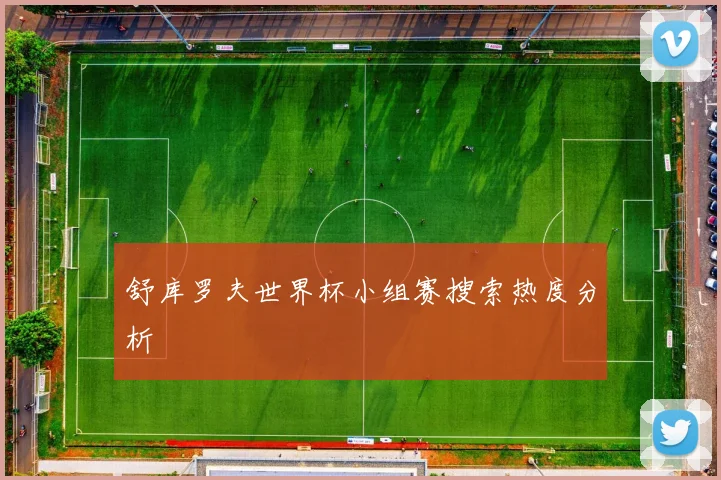 舒库罗夫世界杯小组赛搜索热度分析