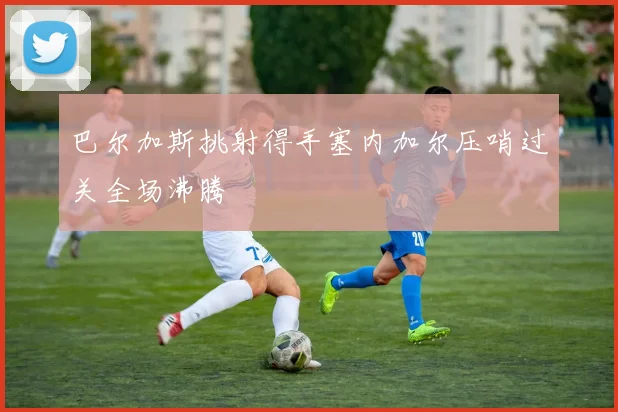巴尔加斯挑射得手塞内加尔压哨过关全场沸腾