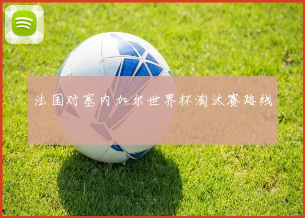 法国对塞内加尔世界杯淘汰赛路线