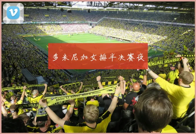 多米尼加女排半决赛夜