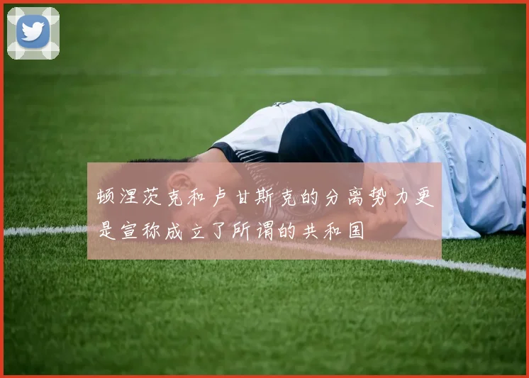 顿涅茨克和卢甘斯克的分离势力更是宣称成立了所谓的共和国