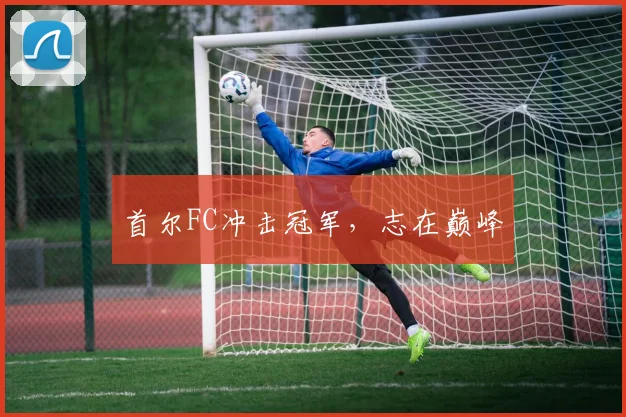 首尔FC冲击冠军，志在巅峰
