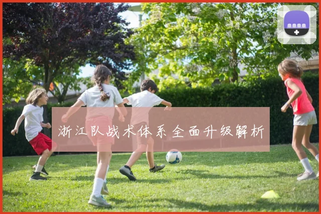 浙江队战术体系全面升级解析