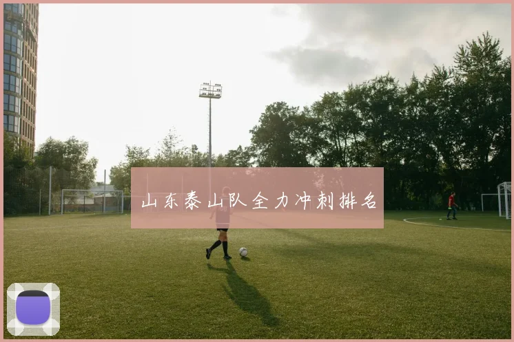 山东泰山队全力冲刺排名