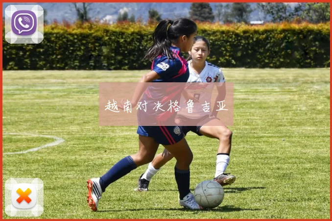 越南对决格鲁吉亚