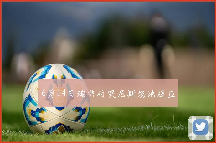 6月14日瑞典对突尼斯场地适应