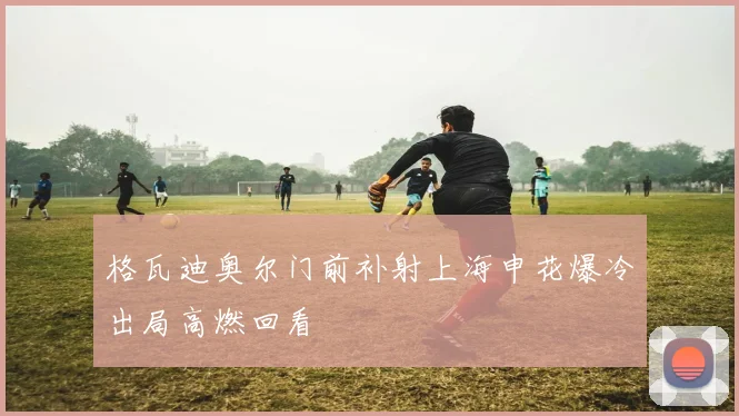 格瓦迪奥尔门前补射上海申花爆冷出局高燃回看