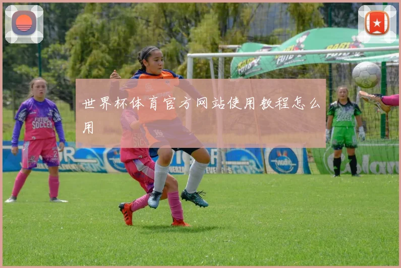 世界杯体育官方网站使用教程怎么用